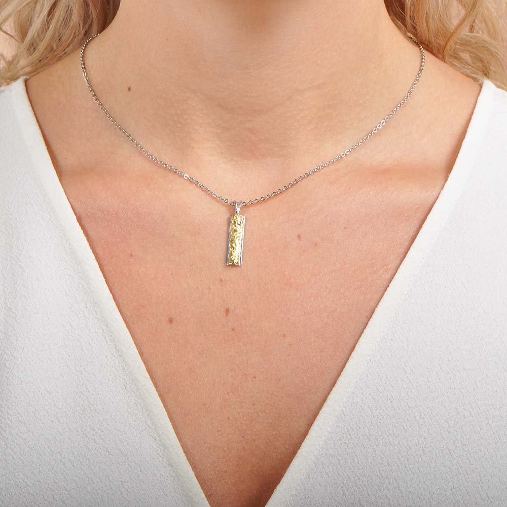 Two tone bar on sale necklace